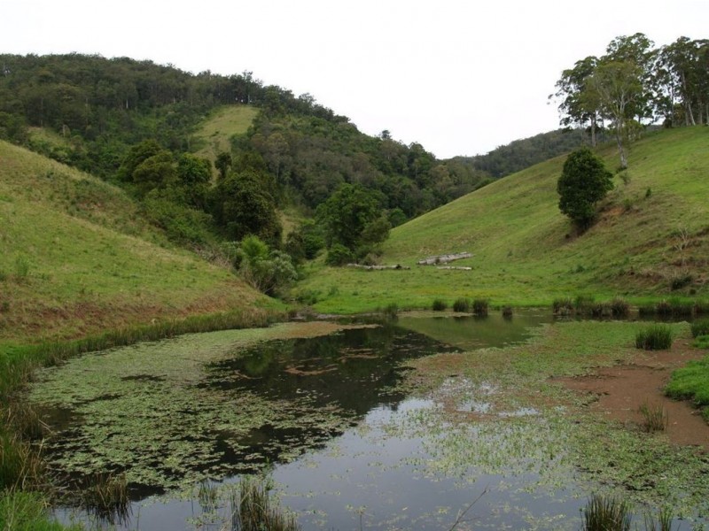 169 & 170 Toms Creek Road, Ellenborough NSW 2446