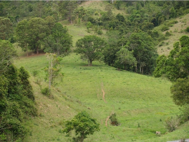 169 & 170 Toms Creek Road, Ellenborough NSW 2446