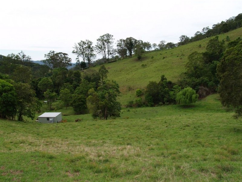 169 & 170 Toms Creek Road, Ellenborough NSW 2446