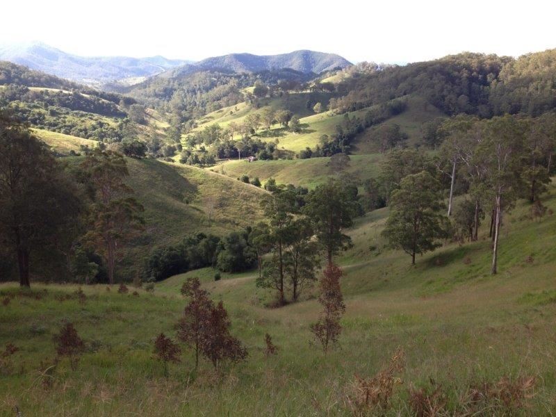 169 & 170 Toms Creek Road, Ellenborough NSW 2446