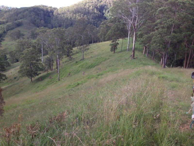 169 & 170 Toms Creek Road, Ellenborough NSW 2446