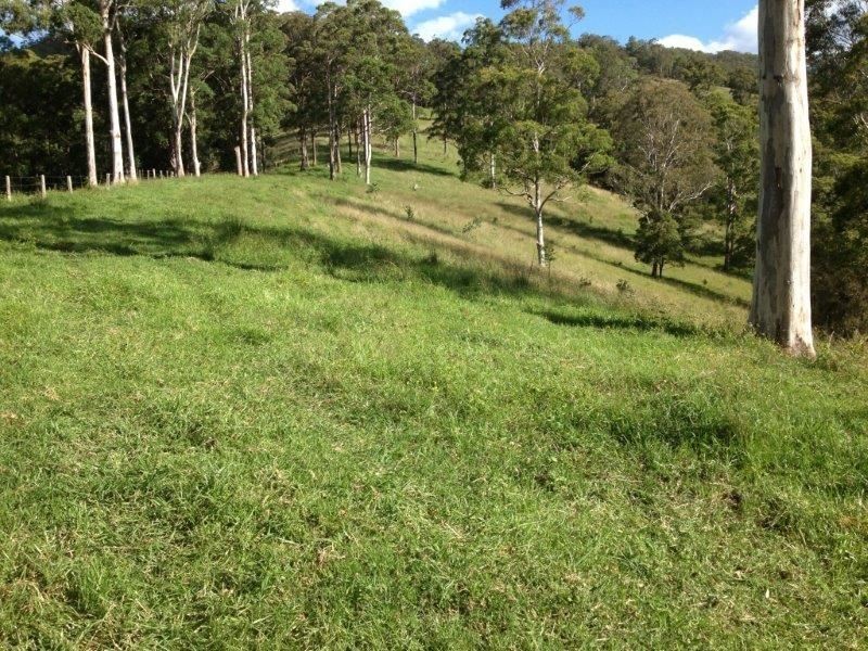 169 & 170 Toms Creek Road, Ellenborough NSW 2446