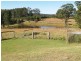 601 Smiths Creek Road, Kundabung NSW 2441