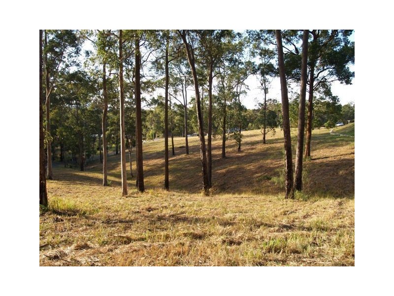 Lot 24 Yallaroi Road, Wauchope NSW 2446