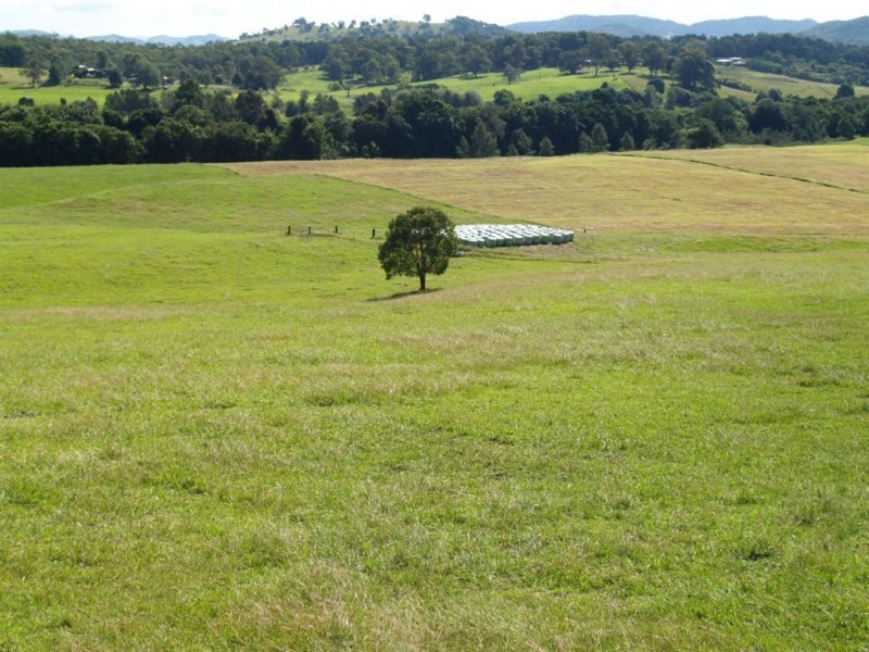 185 Huntingdon Road, Wauchope NSW 2446