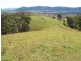 9 Figtree Valley Road, Yarras NSW 2446