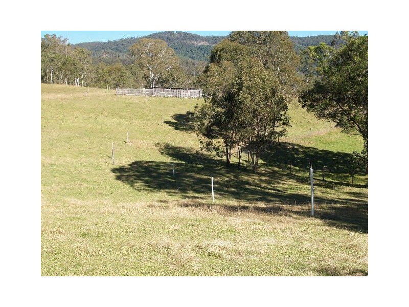 9 Figtree Valley Road, Yarras NSW 2446