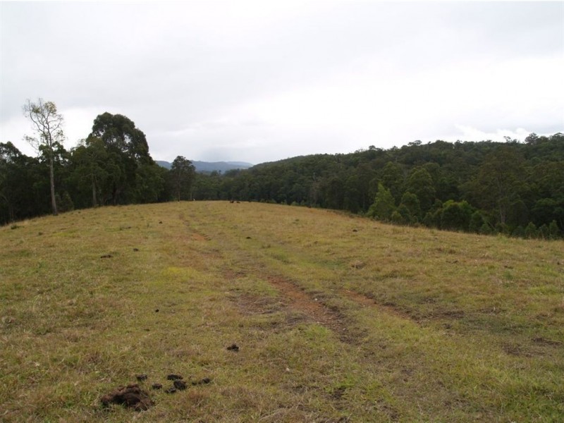 702d Comboyne Road, Byabarra NSW 2446