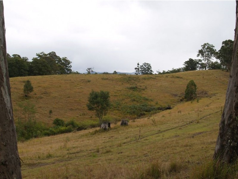 702d Comboyne Road, Byabarra NSW 2446