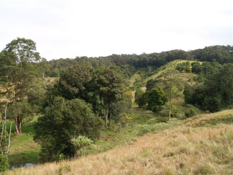 702d Comboyne Road, Byabarra NSW 2446