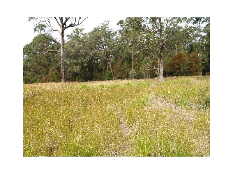 161* King Creek Road, Wauchope NSW 2446