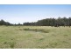 Lot 9 Dulhunty Island, Telegraph Point NSW 2441