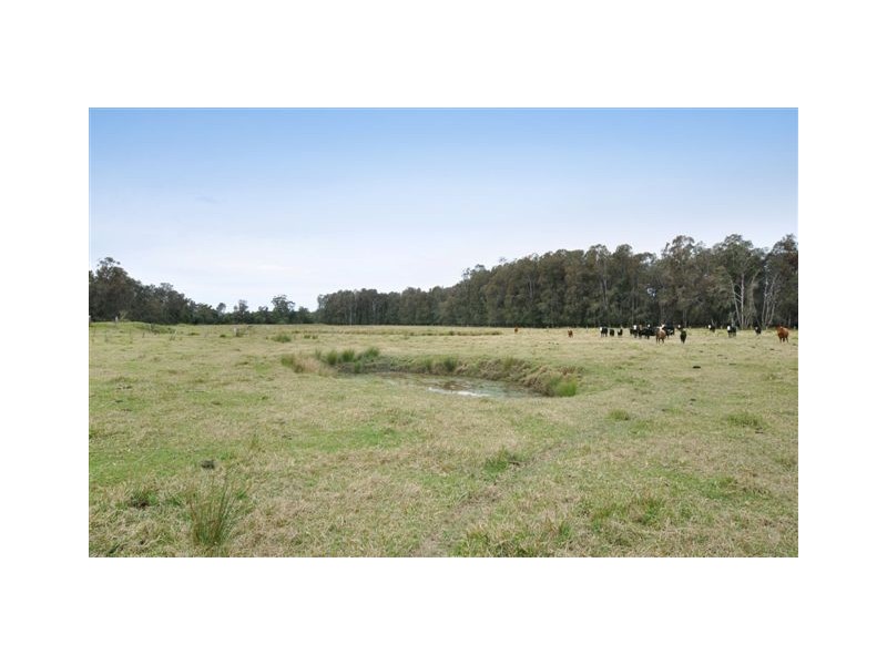 Lot 9 Dulhunty Island, Telegraph Point NSW 2441