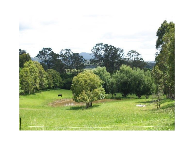 Lot 4, 544 Beechwood Road, Beechwood NSW 2446