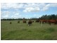 Lot 5/36 Weismantle Street, Wauchope NSW 2446