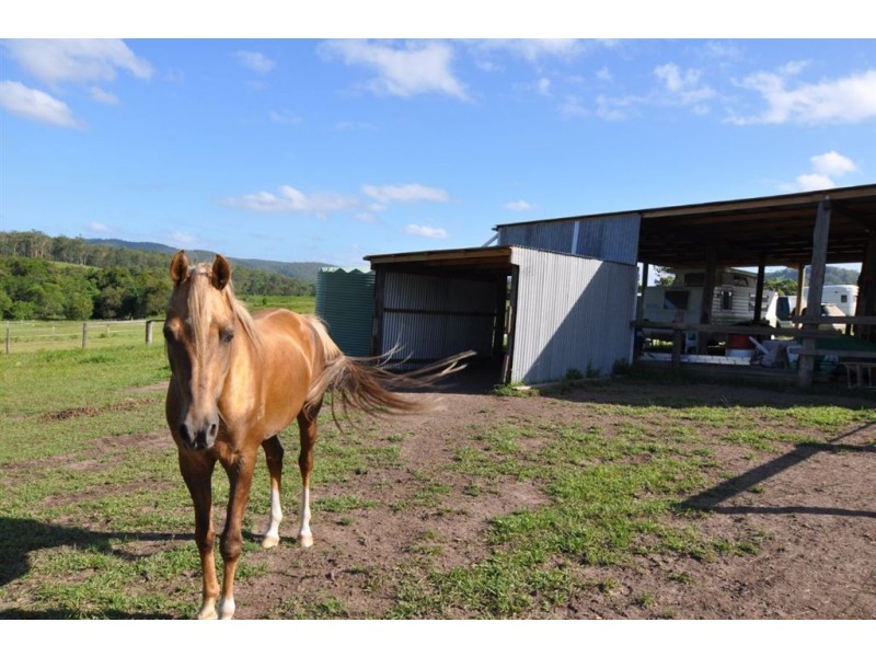 Lot 2 Pipeclay Road, Pipeclay NSW 2446