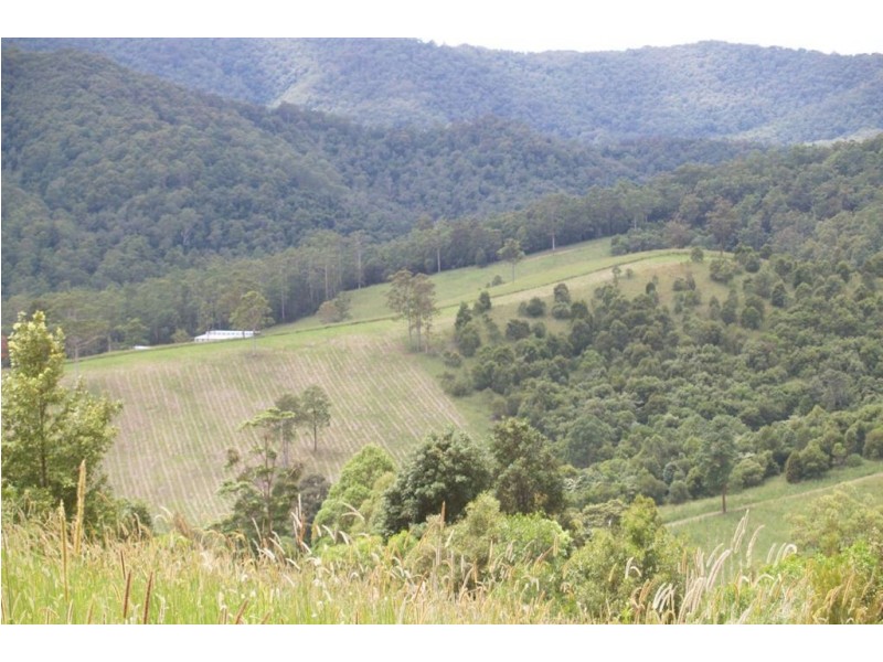 13 Left Arm Road, Pappinbarra NSW 2446