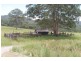 13 Left Arm Road, Pappinbarra NSW 2446
