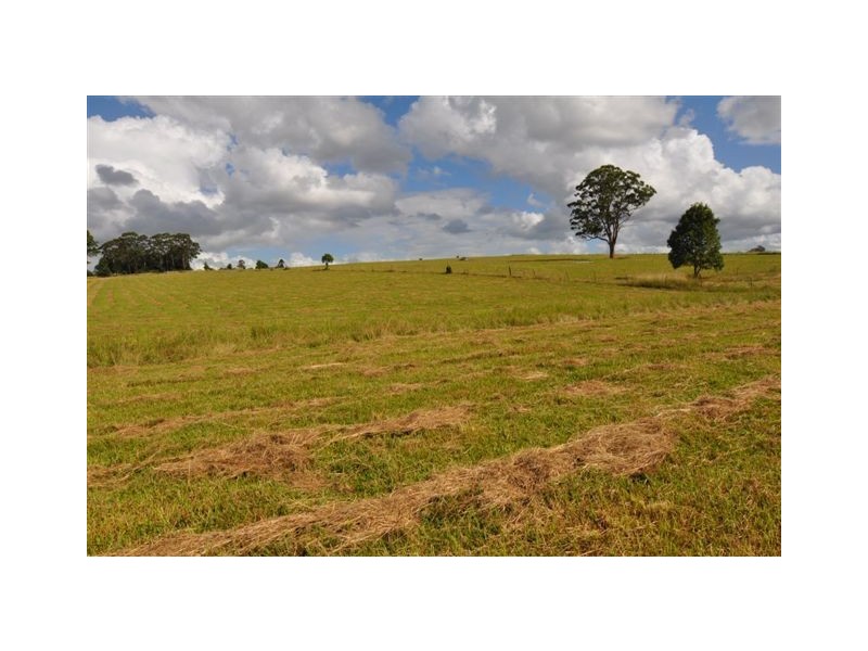 744 Beechwood Road, Beechwood NSW 2446