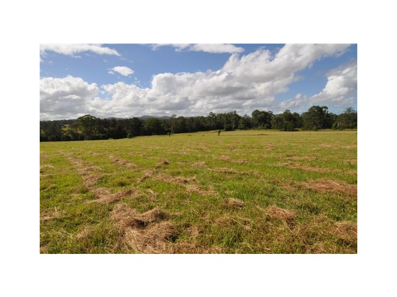 744 Beechwood Road, Beechwood NSW 2446