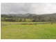 556 Bellangry Road, Bellangry NSW 2446