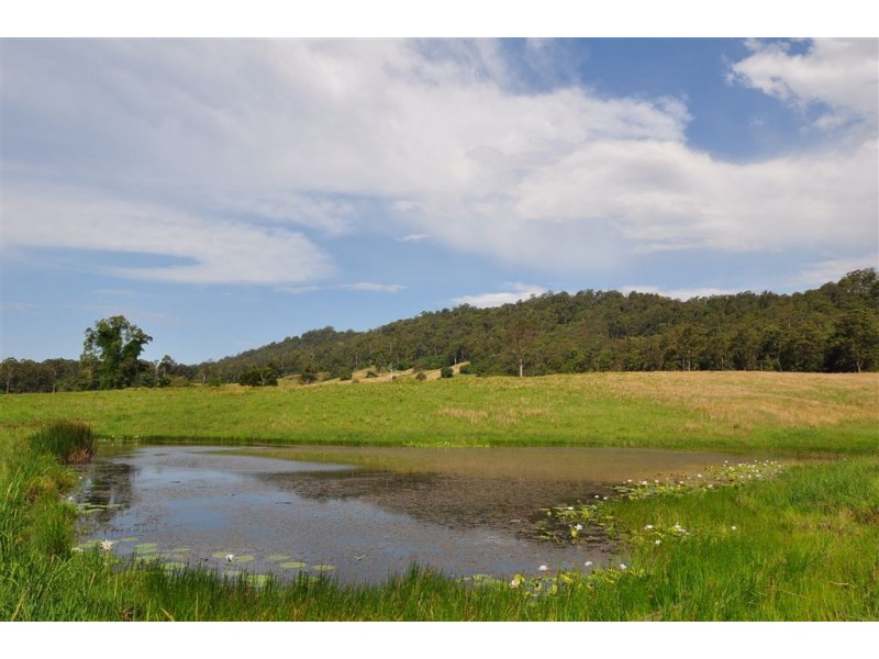 268 Gum Scrub Road, Gum Scrub NSW 2441