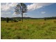 268 Gum Scrub Road, Gum Scrub NSW 2441