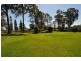 182 King Creek Rd, King Creek NSW 2446