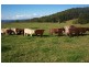 669 Costigans Road, Yarras NSW 2446
