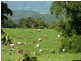 669 Costigans Road, Yarras NSW 2446