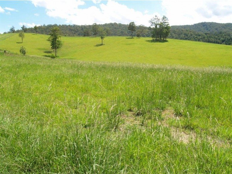 13 Left Arm Road, Upper Pappinbarra NSW 2446