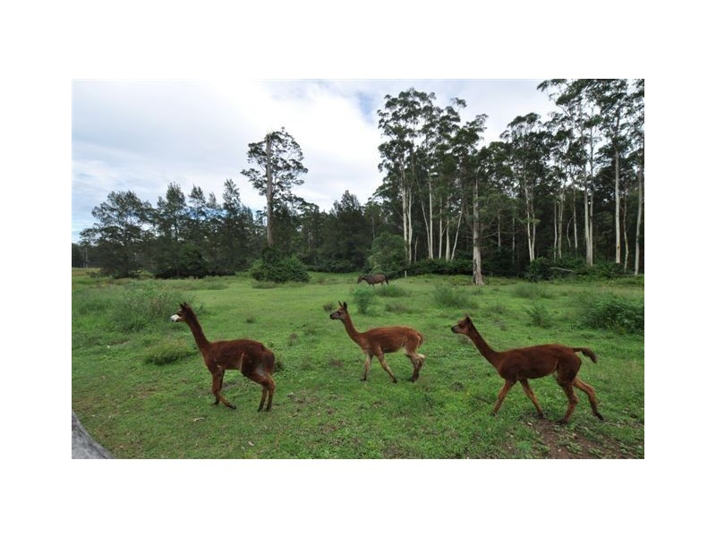 3949 Oxley Highway, Wauchope NSW 2446