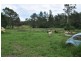 3949 Oxley Highway, Wauchope NSW 2446
