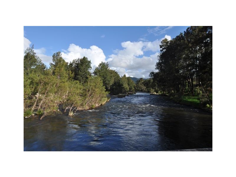 116 Forbes River Road, Yarras NSW 2446