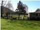 1178 Upper Rollands Plains Road, Rollands Plains Upper NSW 2441
