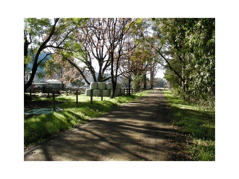 1178 Upper Rollands Plains Road, Rollands Plains Upper NSW 2441