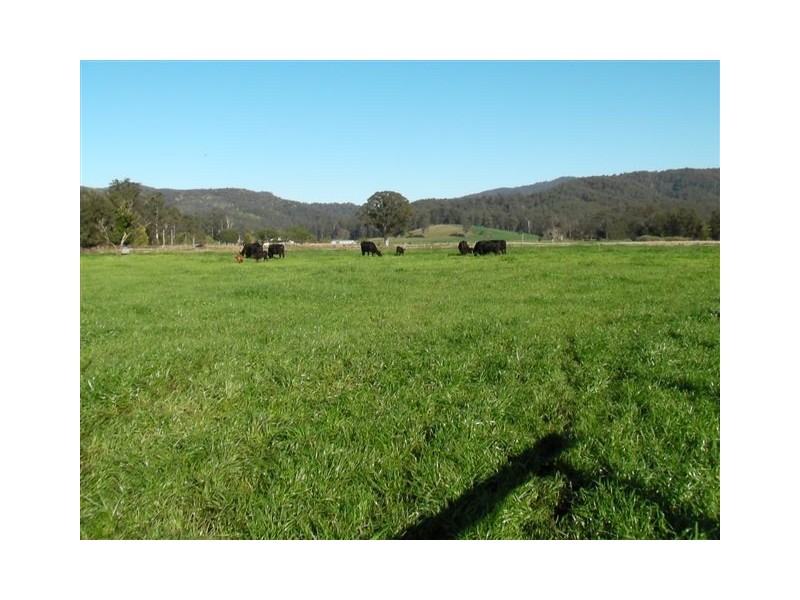 1178 Upper Rollands Plains Road, Rollands Plains Upper NSW 2441