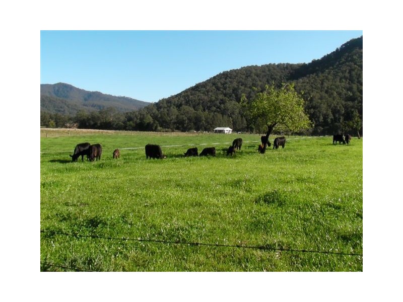 1178 Upper Rollands Plains Road, Rollands Plains Upper NSW 2441