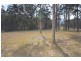 231 Bushland Drive, Sancrox NSW 2446