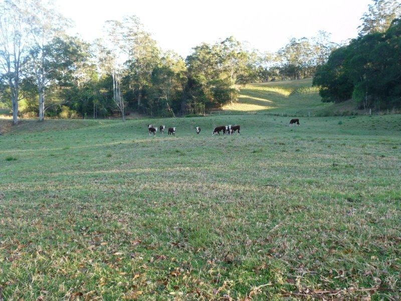 1721 Bellangry Road, Bellangry NSW 2446