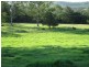 639 Toms Creek Road, Long Flat NSW 2446