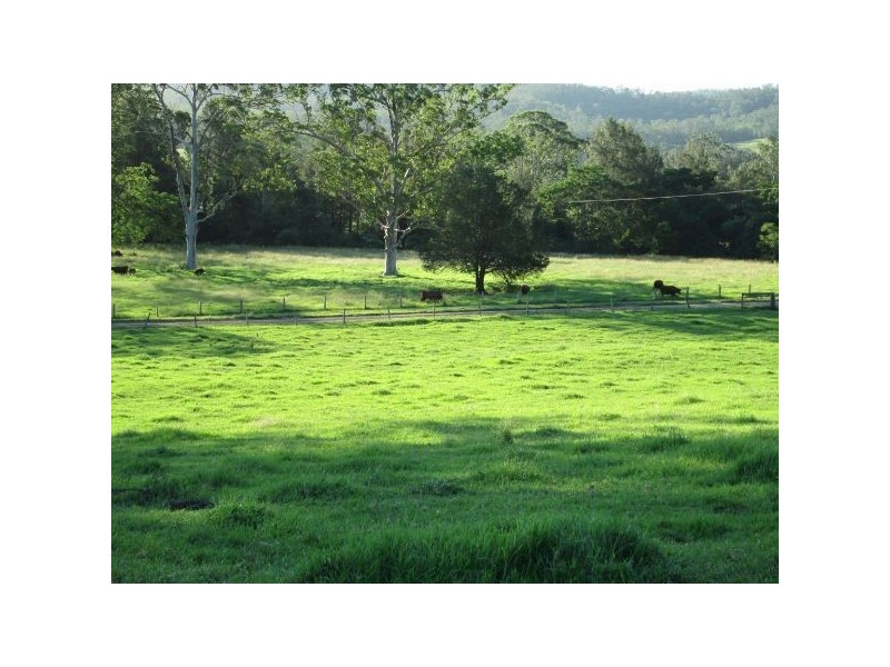 639 Toms Creek Road, Long Flat NSW 2446