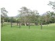 639 Toms Creek Road, Long Flat NSW 2446