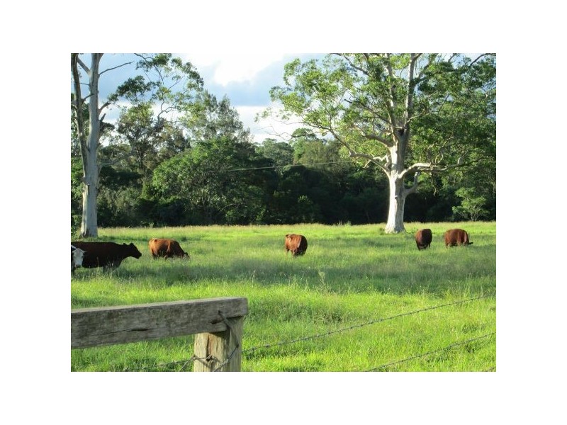 639 Toms Creek Road, Long Flat NSW 2446