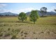 123 Calara Lane, Beechwood NSW 2446