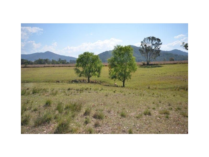 123 Calara Lane, Beechwood NSW 2446