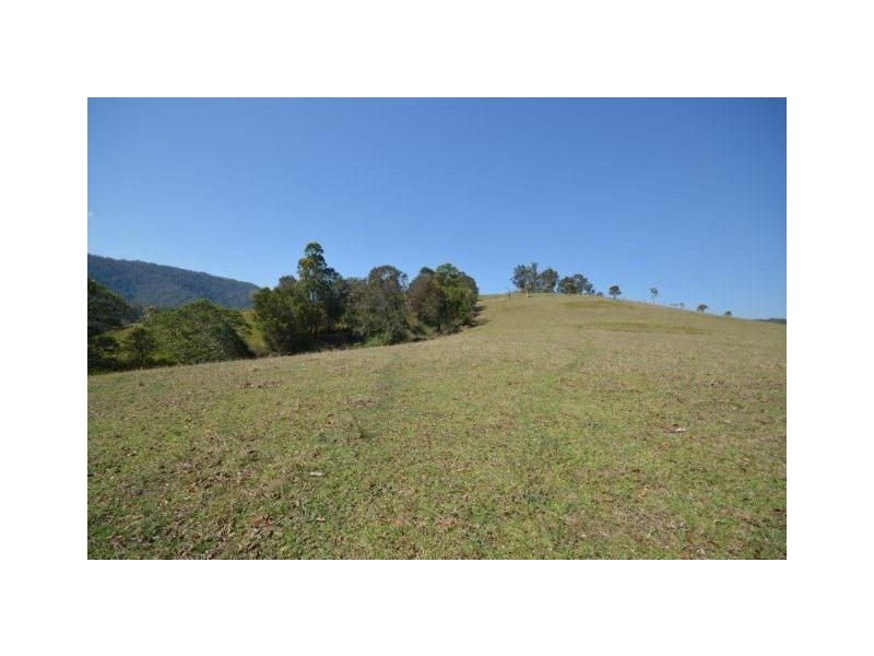 123 Calara Lane, Beechwood NSW 2446