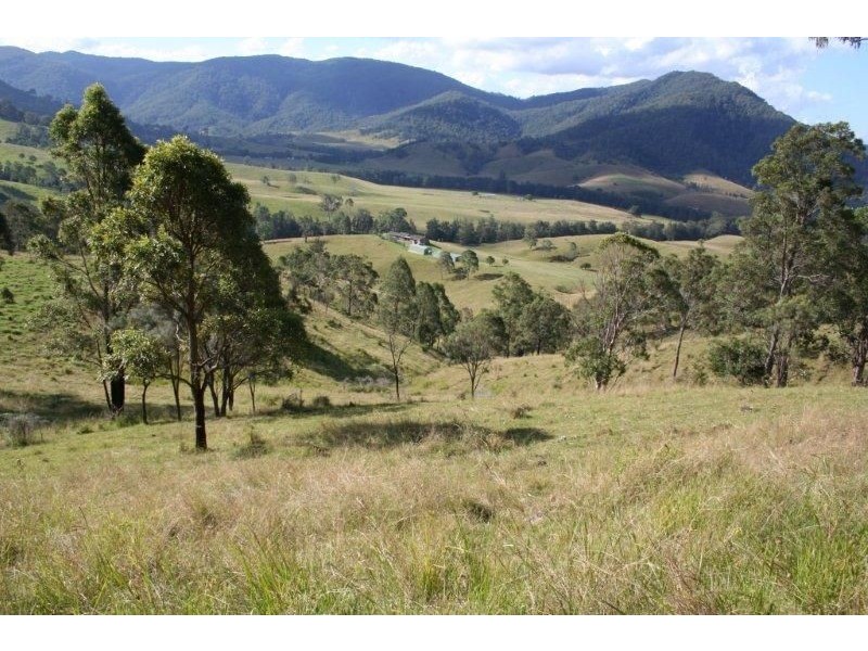 127 Tobins River Road, Mount Seaview NSW 2446