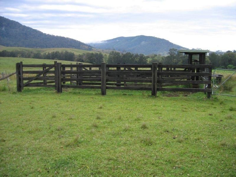 127 Tobins River Road, Mount Seaview NSW 2446