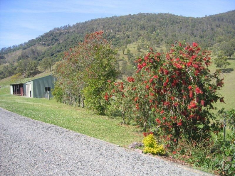 127 Tobins River Road, Mount Seaview NSW 2446